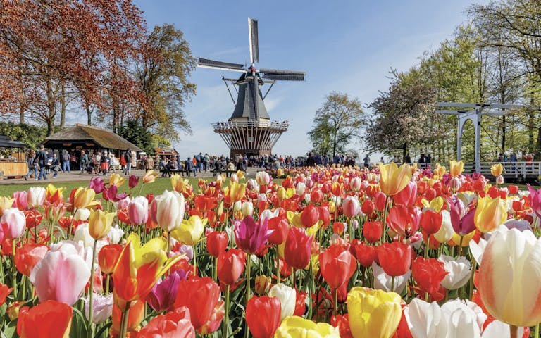 Keukenhof Gardens