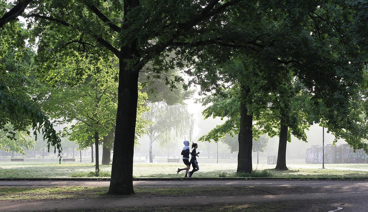 Locals running and cycling in El Retiro Park, Madrid on a sunny day